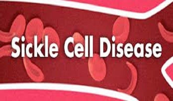 Sickle Cell Anemia: Nass Urged To Enact Law To Enforce Genotype Test 