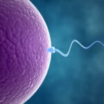 Infertility,How to avoid infertility,How to address infertility,2024 infertility preventive measures