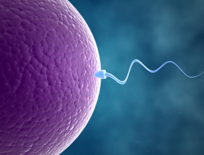 NIGERIA DAILY: Why Cases Of Male Infertility Are On The Rise