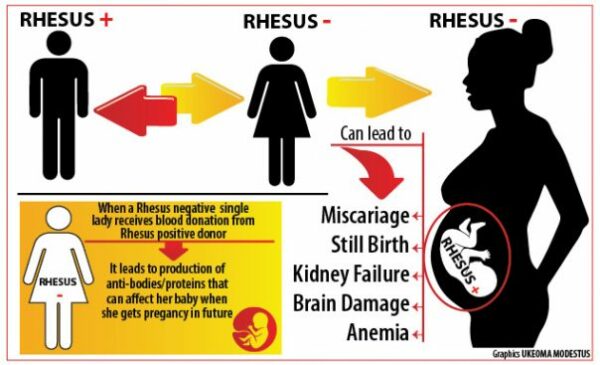 rhesus-disease-why-everyone-should-know-their-rhesus-status-daily-trust