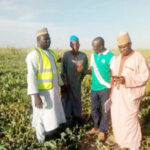 Farmers from Yobe State