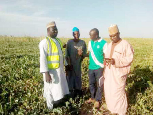 Farmers from Yobe State