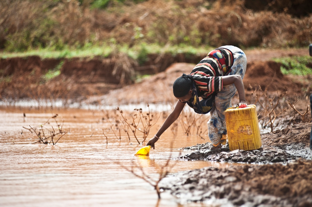 Need to speed up fight against desertification and drought