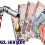 fuel subsidy, fuel subsidies