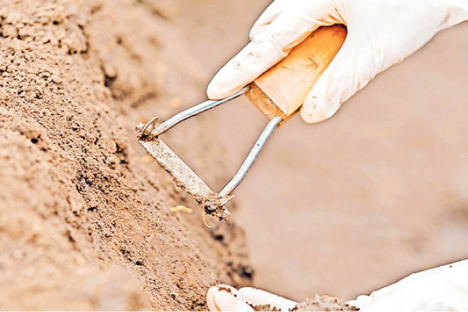 Abuja gets soil testing, GIS labs