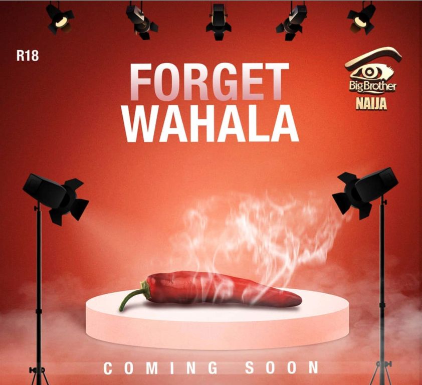 big-brother-naija-returns-with-new-exciting-housemates-and-star-studded