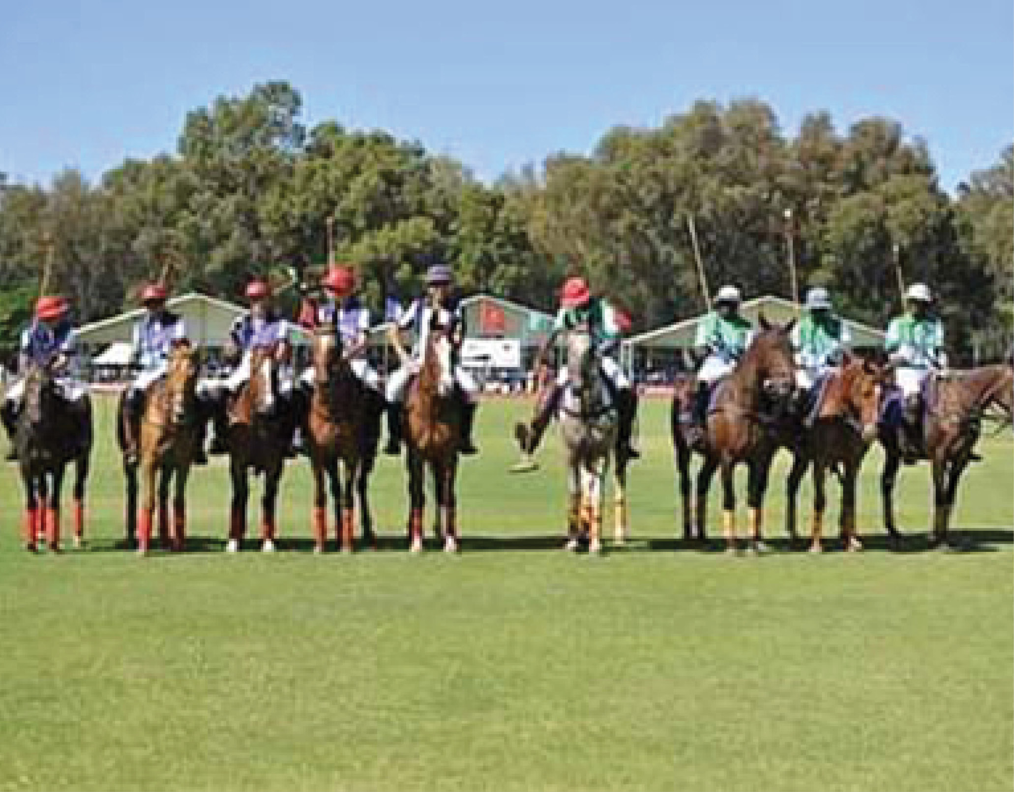 Army: We want to take over Polo again