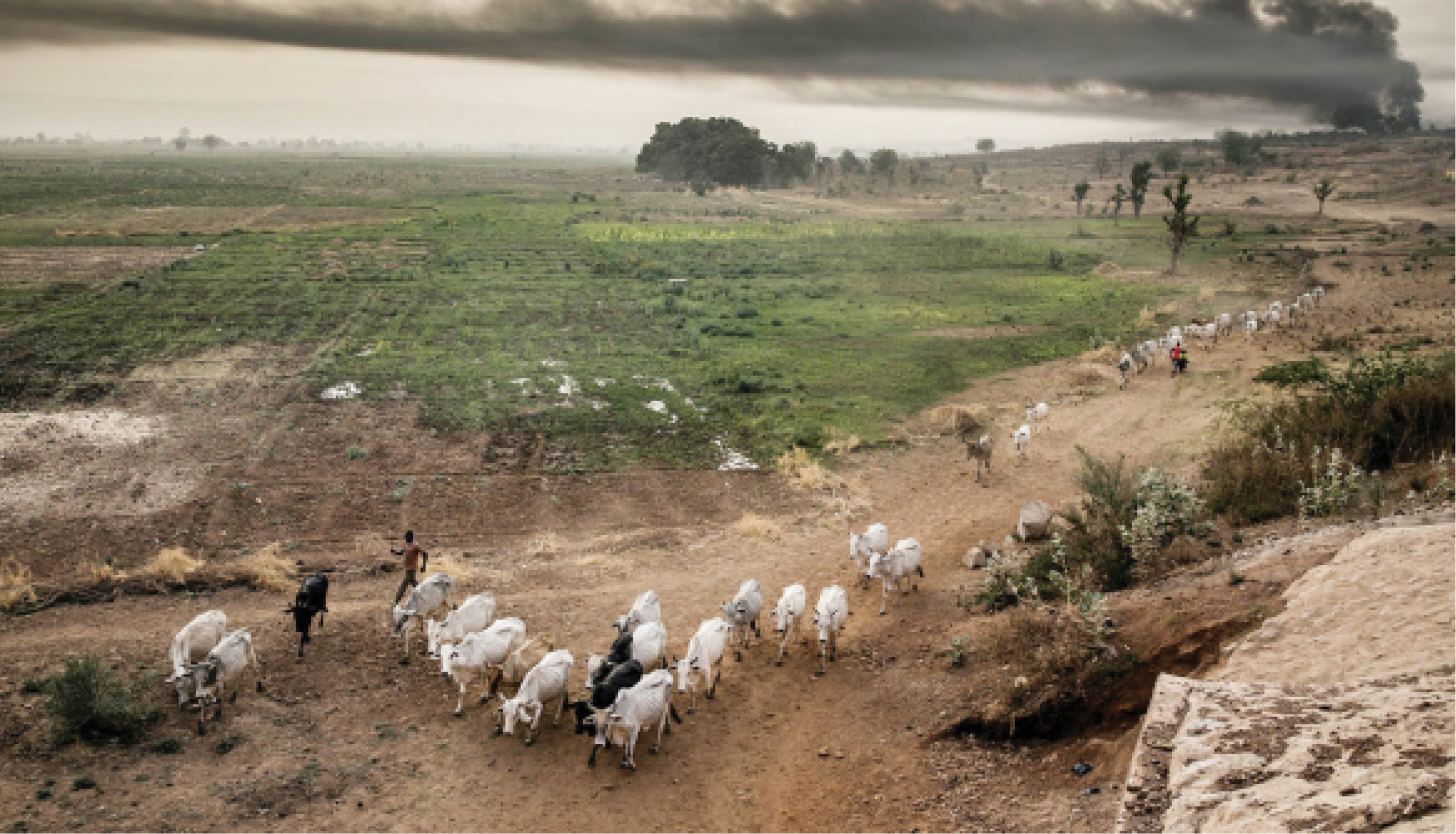 Fulani, Irigwe, Bache youths sign social media peace agreement