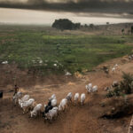 RUGA is a settlement for Fulani herdsmen