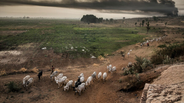 RUGA is a settlement for Fulani herdsmen