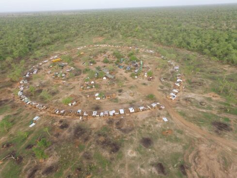 FG urged to turn Sambisa forest into development area - Daily Trust