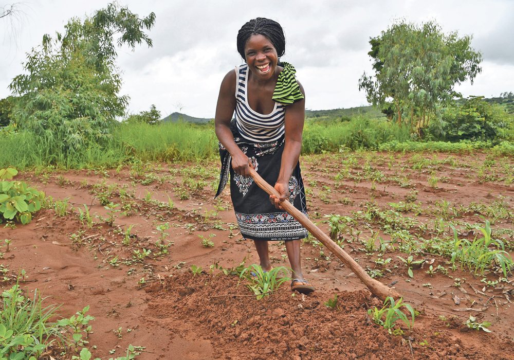 World Food Day: CS-SUNN urges farmers to diversify