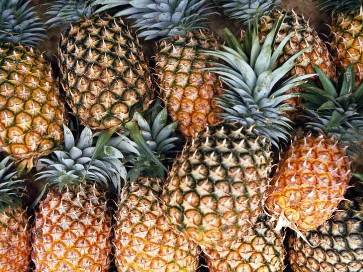 IOM, Edo govt open pineapple, cassava processing factories for returnees