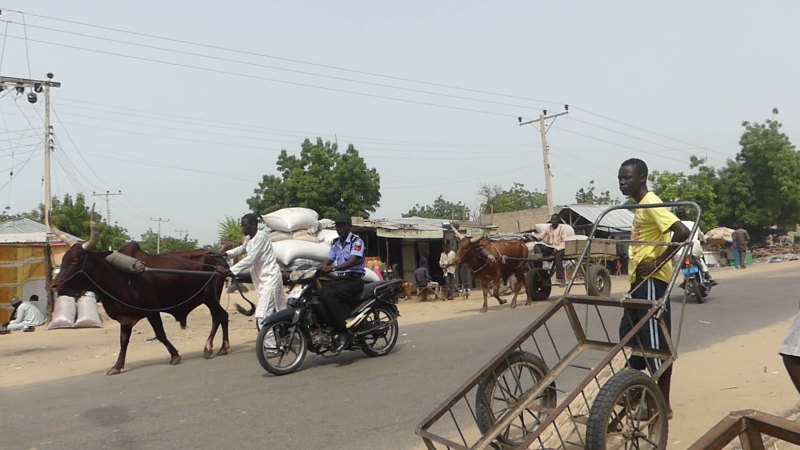 NIGERIA DAILY: How Niger Coup Is Affecting Businesses In Border Communities