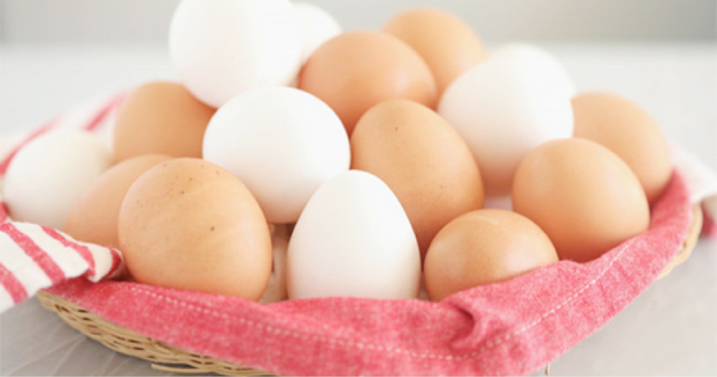 Poultry egg
