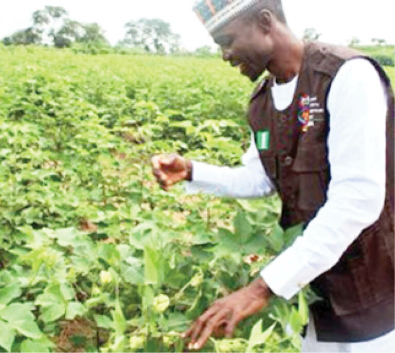 ICT Utilization In Promoting Agricultural Production In Nigeria - Daily ...