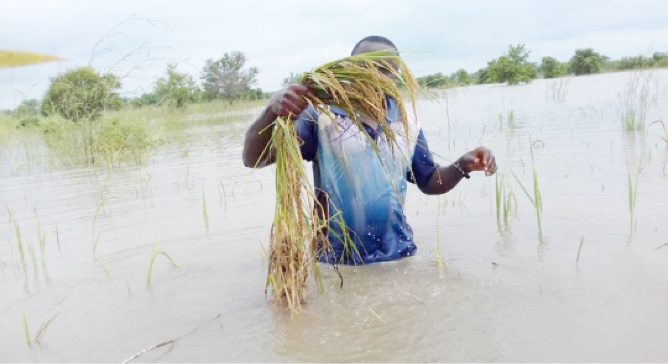 Flood threatens N60bn sugar investments in Niger