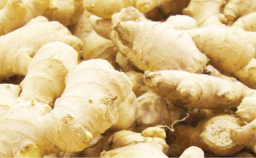 Give your health a ginger boost