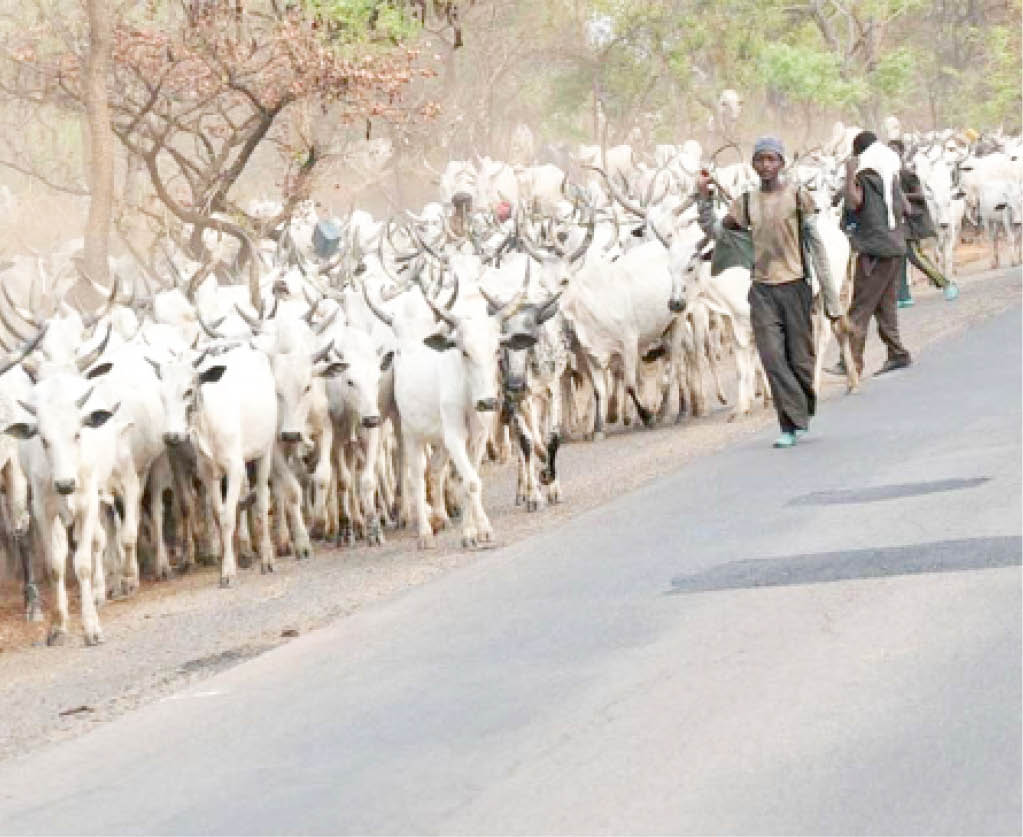 Herdsmen: The Fulani pastoralists