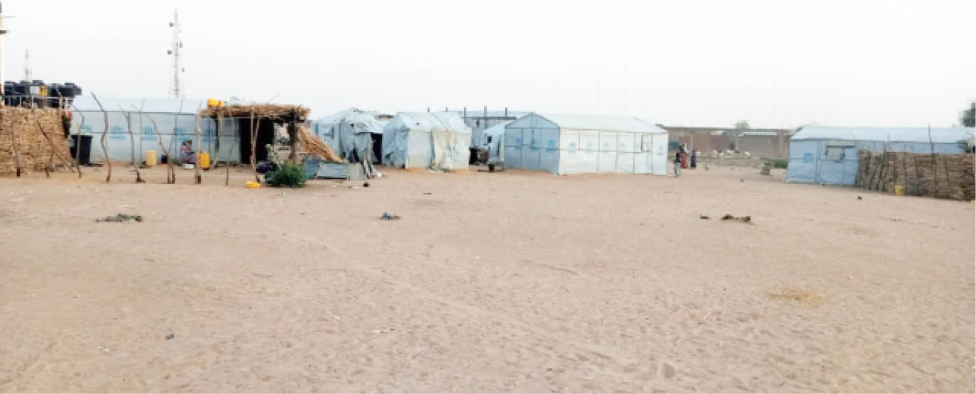 Amnesty Int’l: How girls who fled Boko Haram captivity met ‘surrendered husbands’ in govt camps