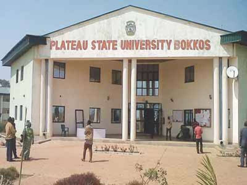 Plateau university lecturers begin indefinite strike