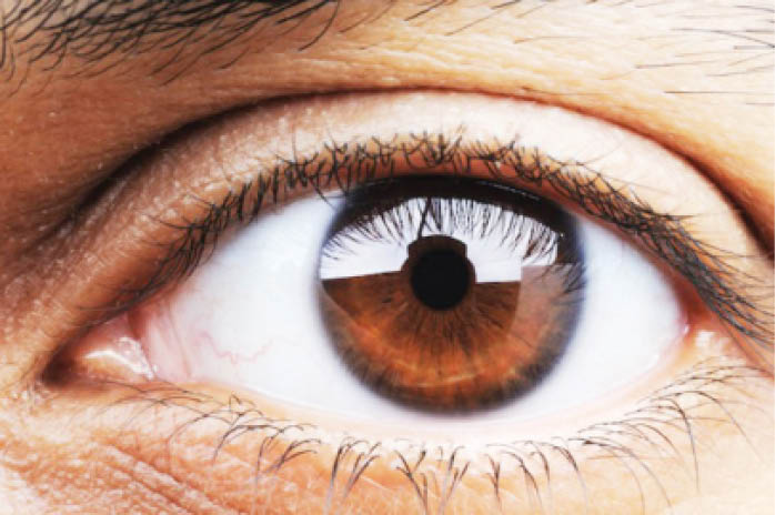 New connection between the eyes and touch discovered