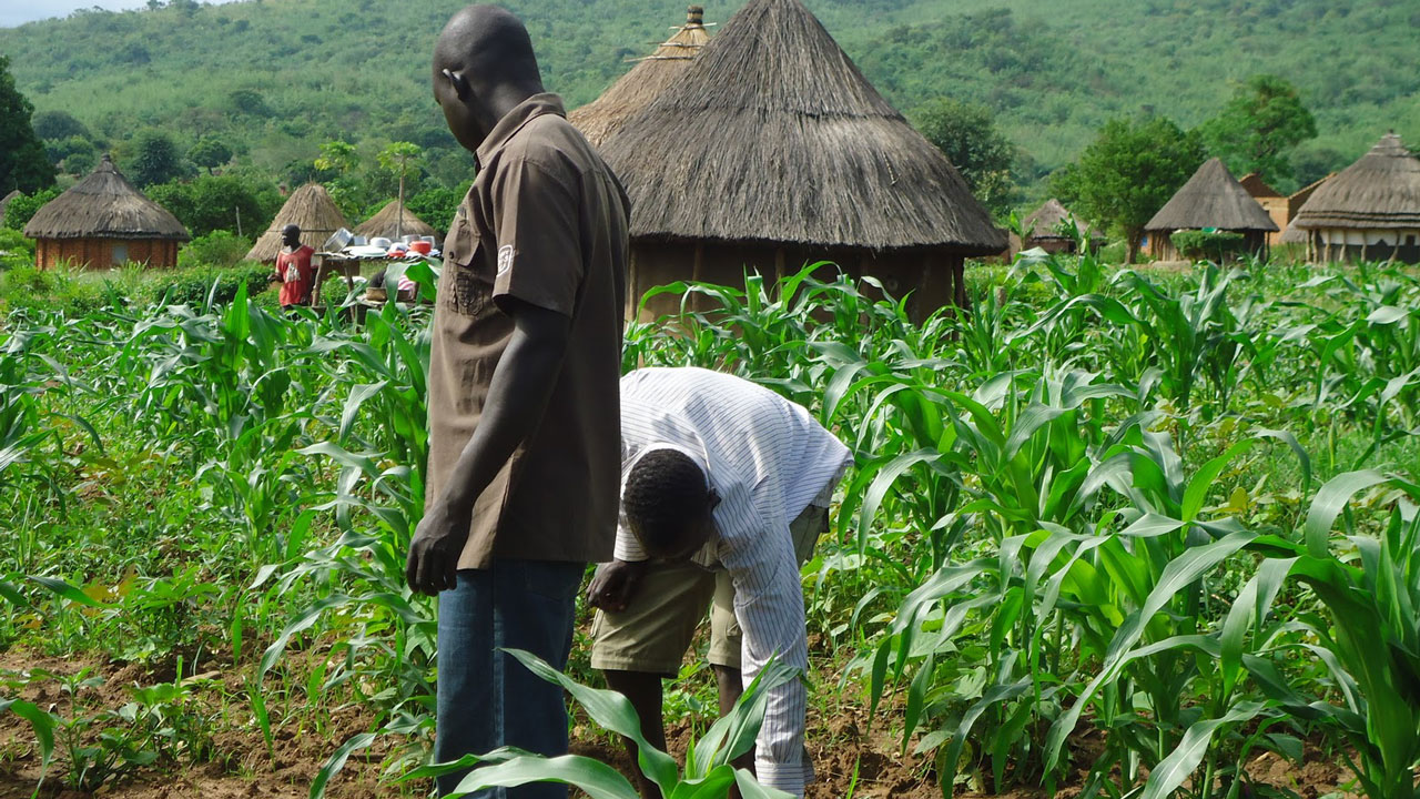 Farmers, small businesses get CBN’s interest free loans