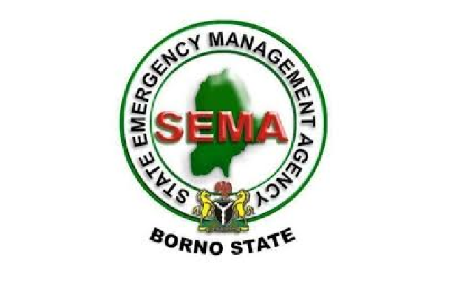 Borno dispatches team to rescue abducted female IDPs