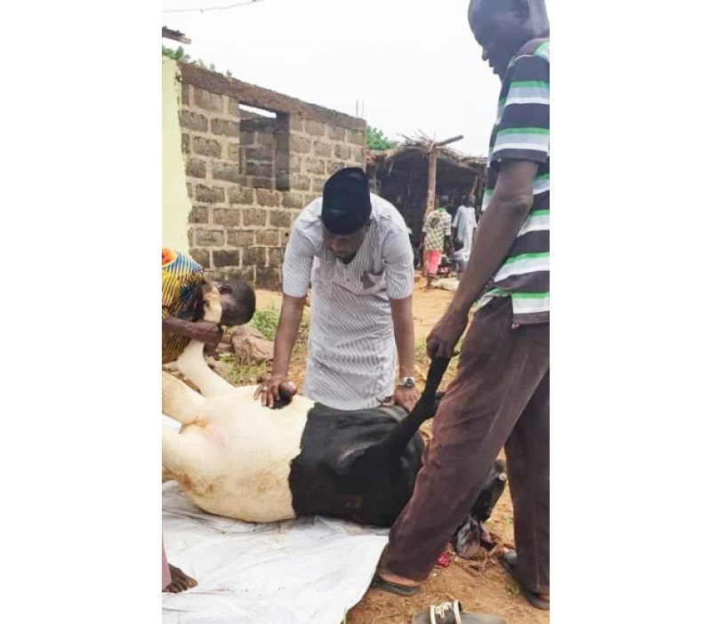 Butchers raked in thousands of naira skinning rams