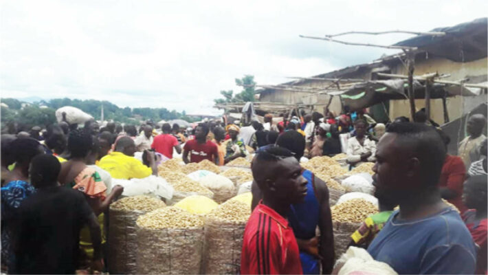 Groundnut section of Adikpo market in Benue State