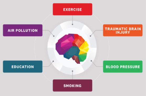 Control 12 Risk Factors To Prevent Dementia - Daily Trust