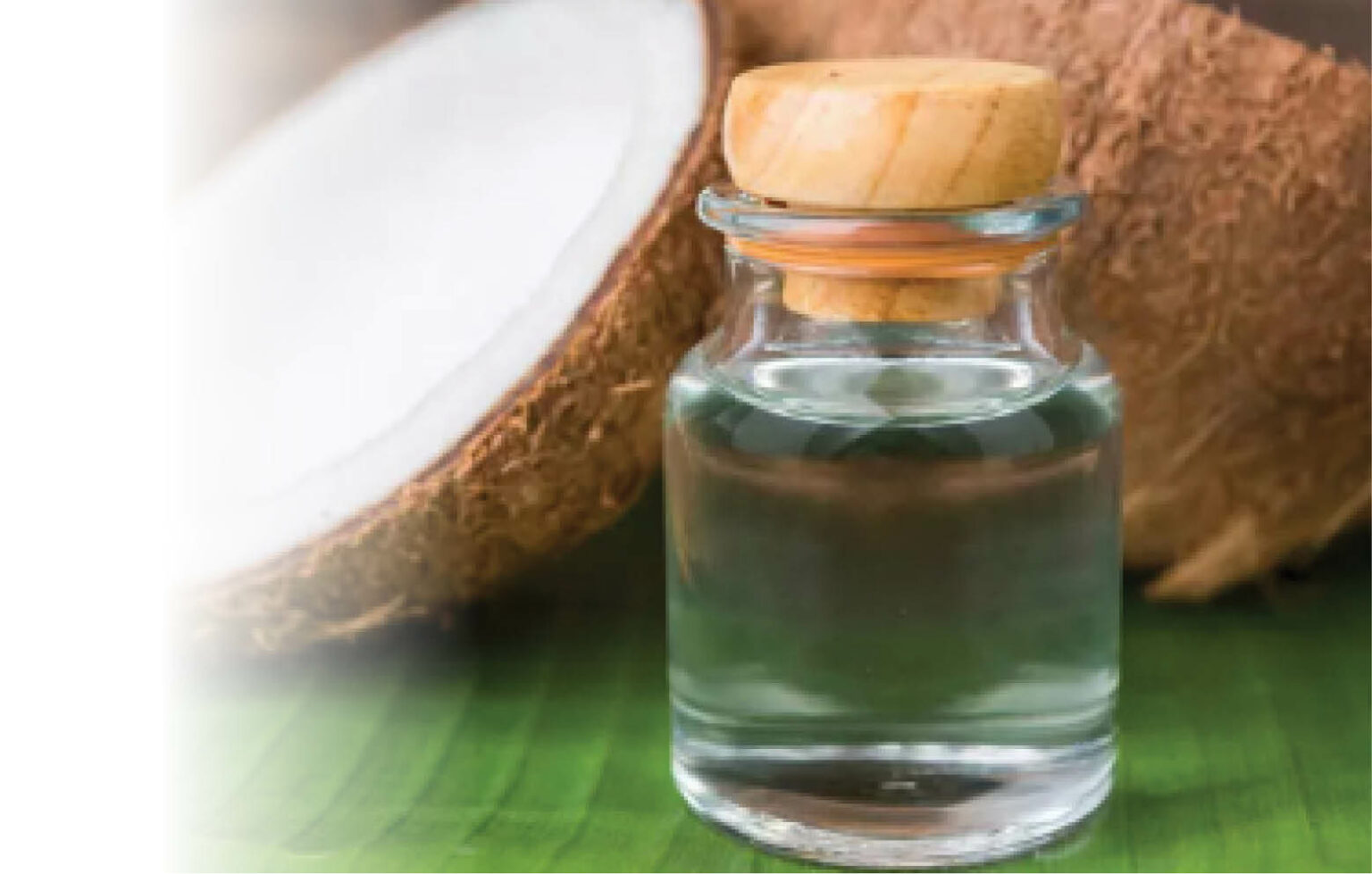 How To Get Rid Of Wrinkles Using Coconut Oil Daily Trust