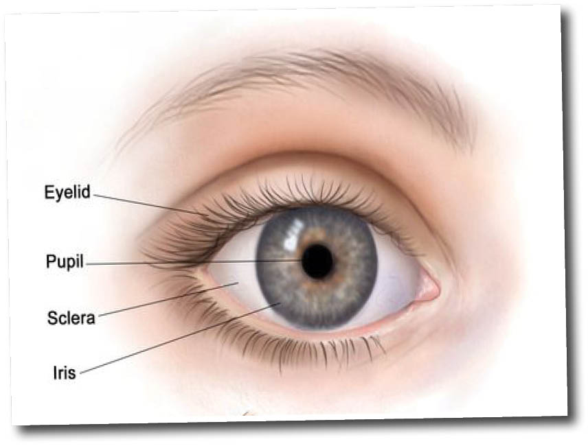 How to maintain healthy eyes