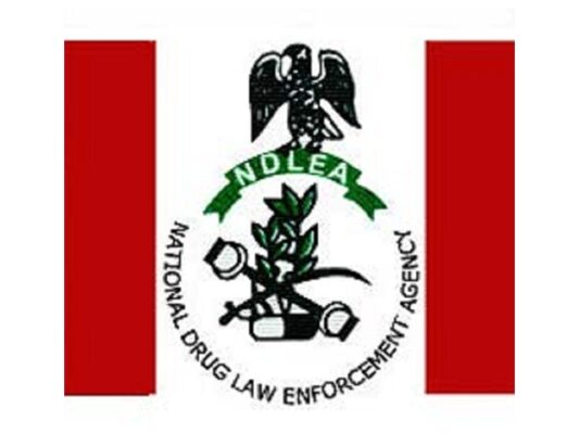 The National Drugs Law Enforcement Agency (NDLEA)