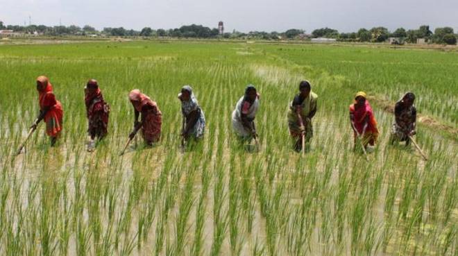 Firms to provide financing for 100,000 farmers