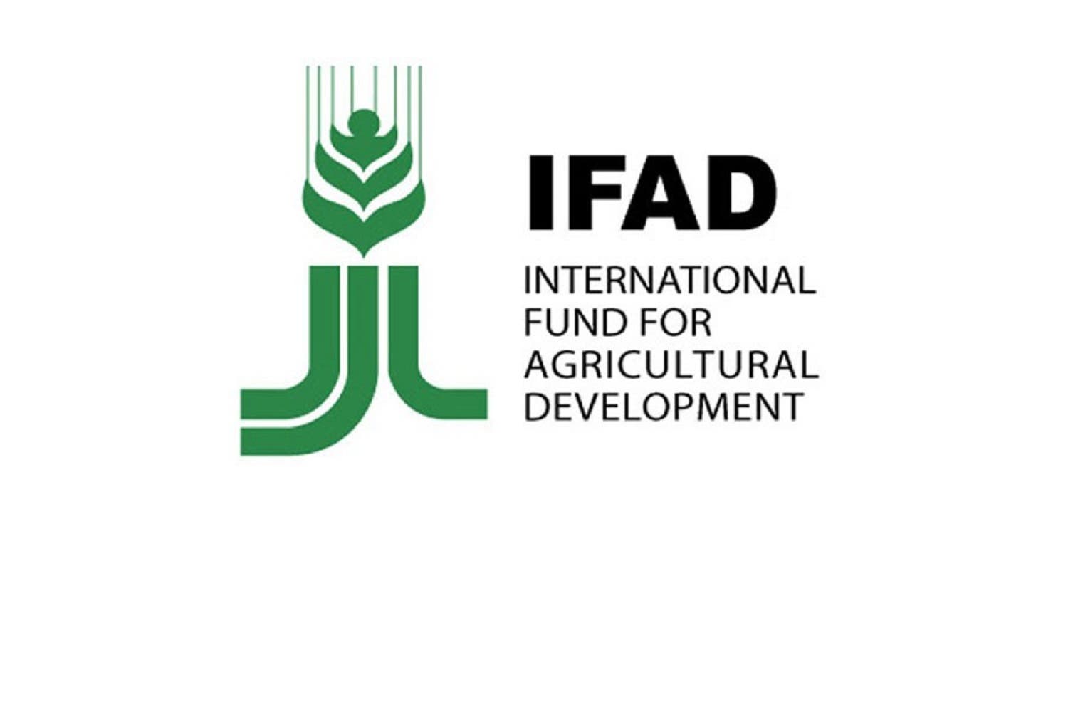 IFAD, FG commit N428bn to smallholder farmers