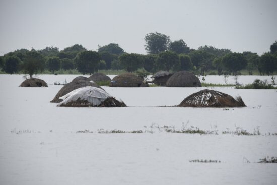 Floods are destroying farmlands and settlements across states. This photo shows destroyed farms and some Fulani settlements in AUYO Local Government area of Jigawa State. Photos Sani Maikatanga