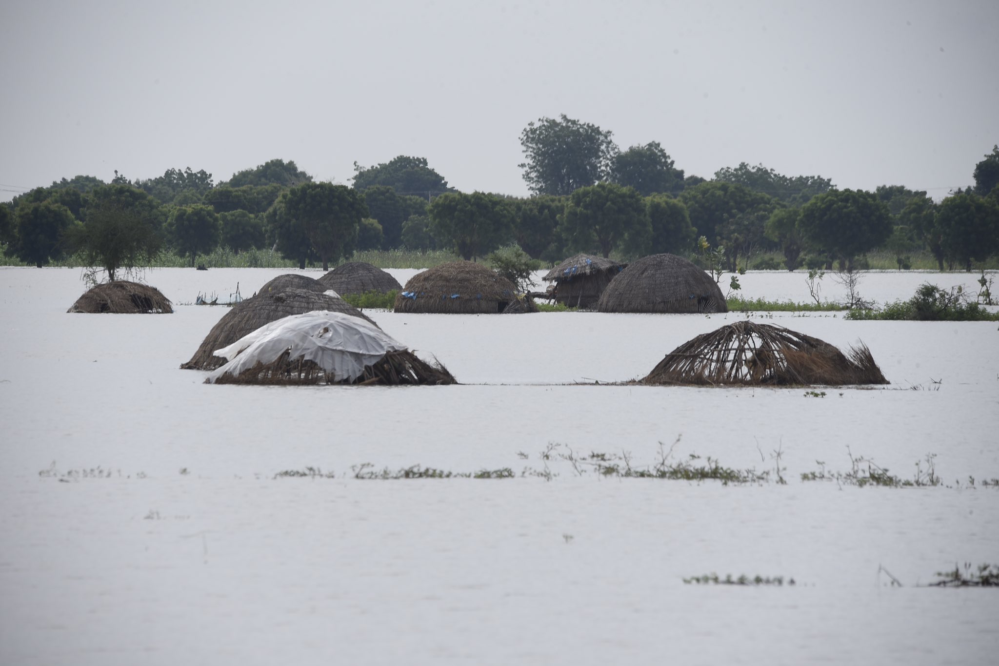 150 communities under water in Niger flooding