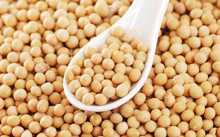 Protein deficiency: Why you should harness health benefits of soya beans – Nutritionist