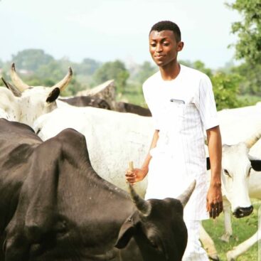 Abdullahi Bashir, a 22-year-old son of a herder from Adamawa State, fell in love with Hanan and her photography, combed the streets of Abuja searching for her and offered 150 cattle in brideprice if the President's daughter would marry him