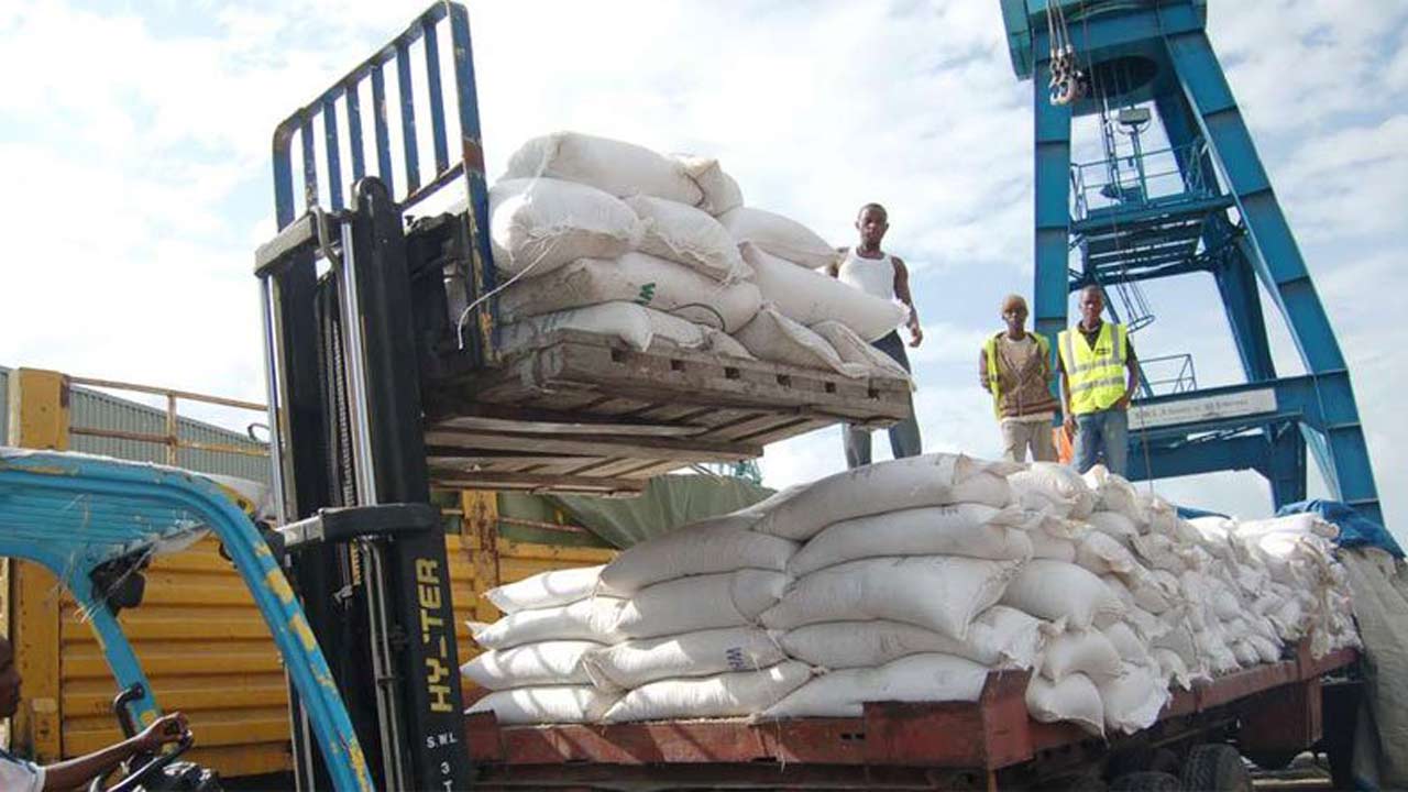 ‘Emergency maize import will save sector’