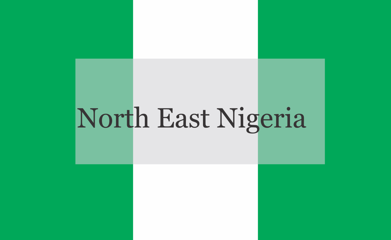 NIGERIA DAILY: Why There Is Resurgence Of Boko Haram In North East