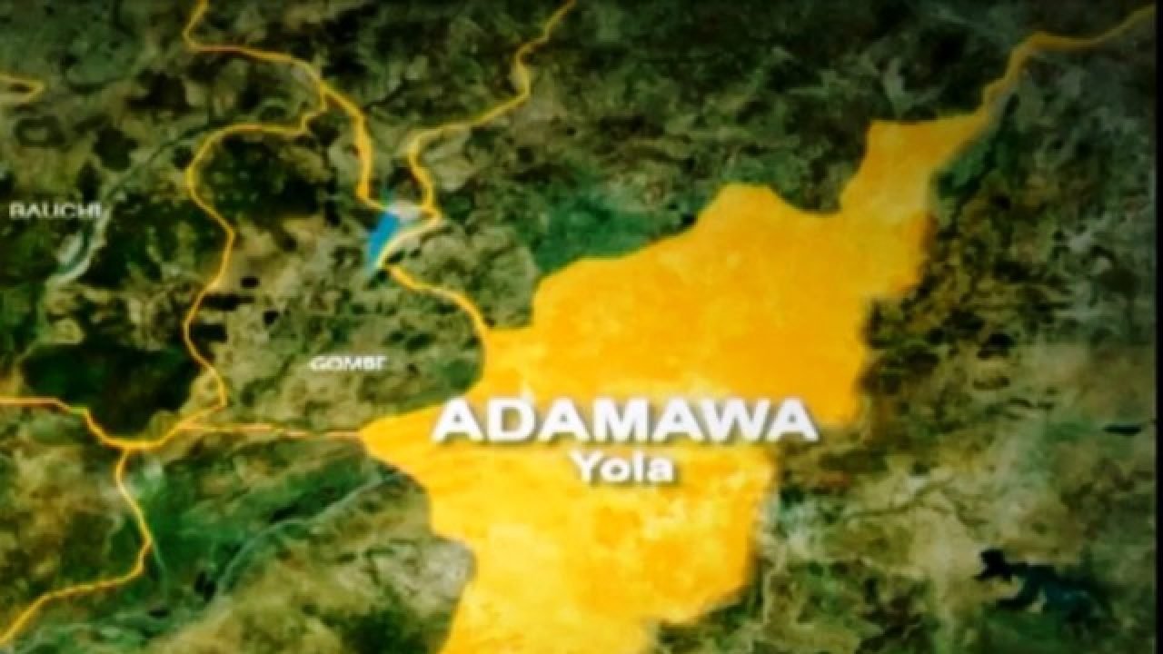 Adamawa Sex - How Yola-based mother of two died during sex with lover - Daily Trust