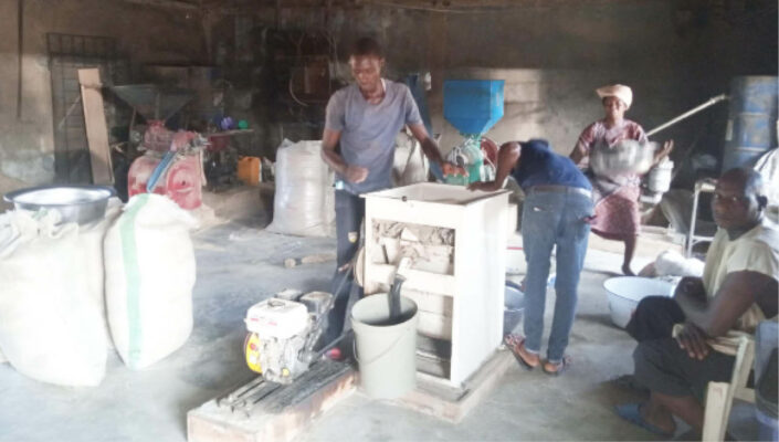 Local rice mills increasing in Benue State
