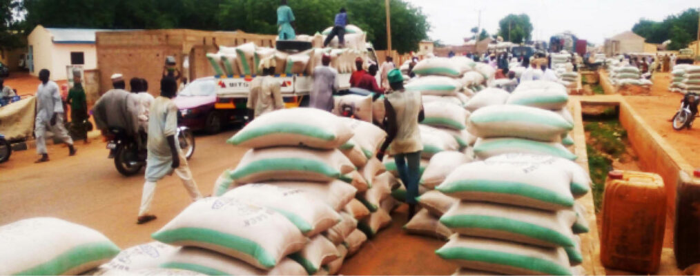 Paddy rice market at Bunza in Kebbi State