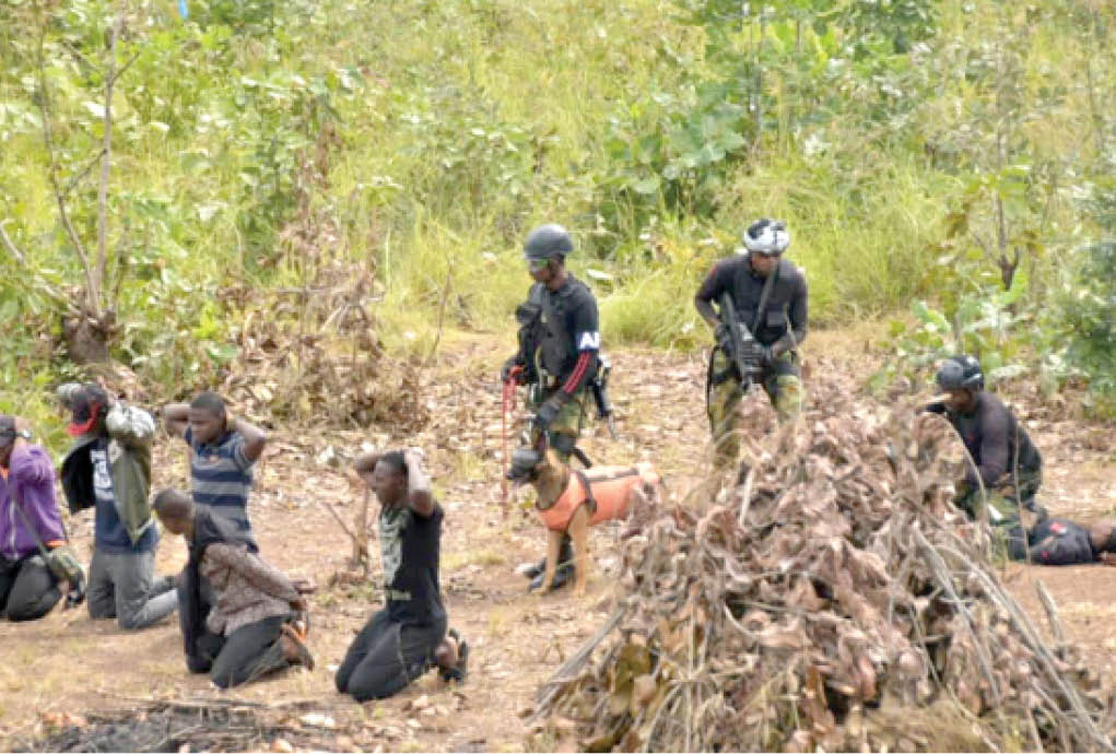 Nigerian military troops on different operation in Kamuku and Kuyambana forests in Birnin Gwari Local Government Area of Kaduna state