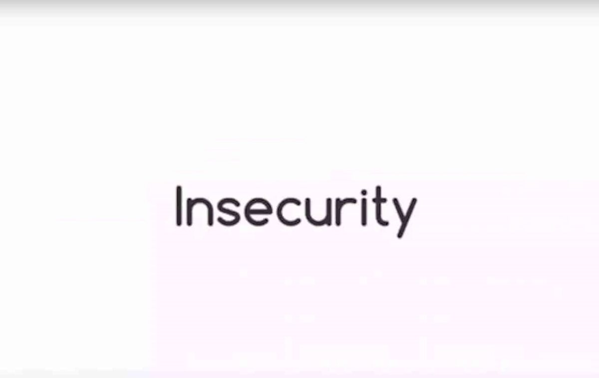 insecurity-experts-back