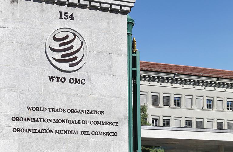 FG optimistic Okonjo-Iweala will emerge as WTO’s DG