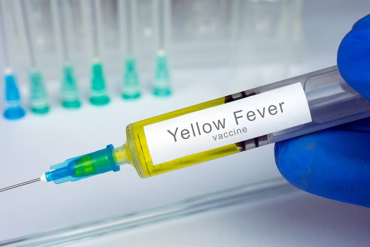 FG to vaccinate 7 million Nigerians against yellow fever