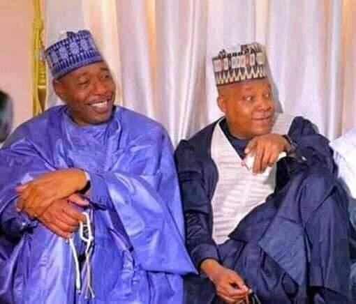 Zulum is better than me in all ramifications, says Ex-Gov Shettima